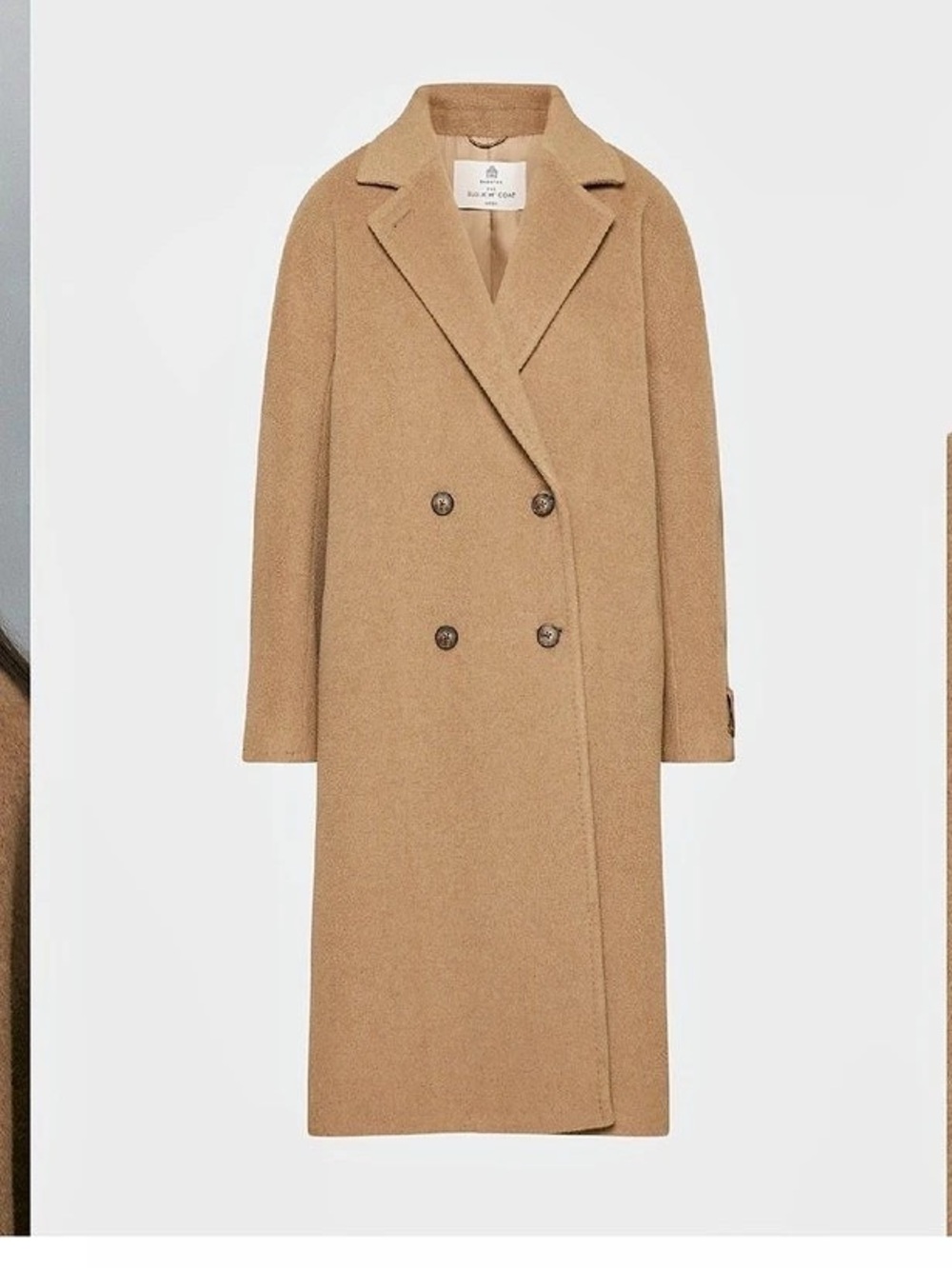 Aritzia Babaton The Slouch Coat